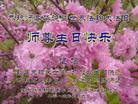 ֹ,ľ˹󷨵ӹ編ִʦ𻪵(26)
