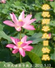 ֹ,󷨵ӹ編ִʦ𻪵(28)
