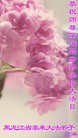 ֹ,󷨵ӹ編ִʦ𻪵(29)
