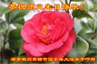 ֹ,ϴ󷨵ӹ編ִʦ𻪵(25)
