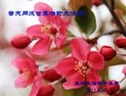 ֹ,󷨵ӹ編ִʦ𻪵(25)
