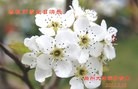 ֹ,󷨵ӹ編ִʦ𻪵(25)
