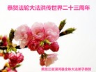 ֹ,󷨵ӹ編ִʦ𻪵(28)
