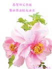 ֹ,Ĵ󷨵ӹ編ִʦ𻪵(28)
