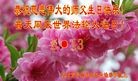ֹ,󷨵ӹ編ִʦ𻪵(28)
