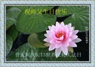 ֹ,󷨵ӹ編ִʦ𻪵(40)
