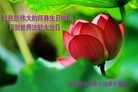 ֹ,ɽ󷨵ӹ編ִʦ𻪵(50)
