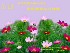 ֹ,մ󷨵ӹ編ִʦ𻪵(22)
