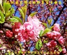 ֹ,󷨵ӹ編ִʦ𻪵(40)
