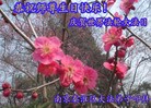 ֹ,մ󷨵ӹ編ִʦ𻪵(22)
