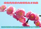 ֹ,ӱ󷨵ӹ編ִʦ𻪵(78)
