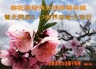 ֹ,󷨵ӹ編ִʦ𻪵(26)
