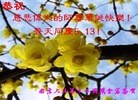 ֹ,մ󷨵ӹ編ִʦ𻪵(22)
