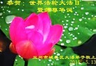 ֹ,󷨵ӹ編ִʦ𻪵(26)
