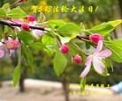 ֹ,󷨵ӹ編ִʦ𻪵(26)
