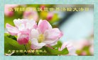 ֹ,󷨵ӹ編ִʦ𻪵(24)
