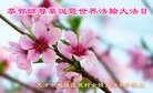 ֹ,󷨵ӹ編ִʦ𻪵(24)
