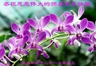 ֹ,ľ˹󷨵ӹ編ִʦ𻪵(18)
