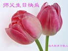 ֹ,ľ˹󷨵ӹ編ִʦ𻪵(18)
