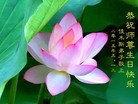 ֹ,ľ˹󷨵ӹ編ִʦ𻪵(18)
