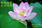 ֹ,ľ˹󷨵ӹ編ִʦ𻪵(18)
