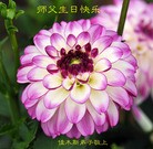 ֹ,ľ˹󷨵ӹ編ִʦ𻪵(18)
