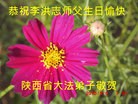ֹ,󷨵ӹ編ִʦ𻪵(31)

