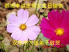 ֹ,󷨵ӹ編ִʦ𻪵(31)

