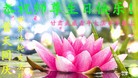 ֹ,󷨵ӹ編ִʦ𻪵(26)
