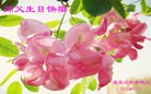 ֹ,󷨵ӹ編ִʦ𻪵(20)
