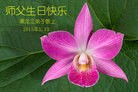 ֹ,󷨵ӹ編ִʦ𻪵(20)
