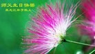 ֹ,󷨵ӹ編ִʦ𻪵(20)
