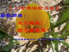 ֹ,ػʵ󷨵ӹ編ִʦ𻪵(21)
