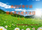 ֹ,ɹŴ󷨵ӹ編ִʦ𻪵(22)
