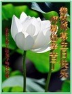 ֹ,󷨵ӹ編ִʦ𻪵(21)
