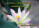 ֹ,󷨵ӹ編ִʦ𻪵(20)
