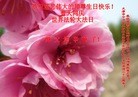 ֹ,󷨵ӹ編ִʦ𻪵(25)
