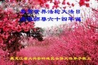 ֹ,󷨵ӹ編ִʦ𻪵(19)
