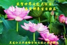 ֹ,Сӹ編ִʦ𻪵(24)
