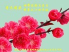 ֹ,󷨵ӹ編ִʦ𻪵(19)
