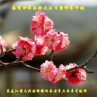ֹ,󷨵ӹ編ִʦ𻪵(21)

