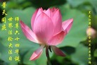 ֹ,󷨵ӹ編ִʦ𻪵(21)
