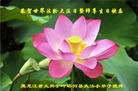 ֹ,Сӹ編ִʦ𻪵(24)
