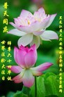 ֹ,󷨵ӹ編ִʦ𻪵(21)
