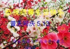 ֹ,󷨵ӹ編ִʦ𻪵(24)
