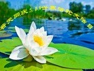 ֹ,Ĵ󷨵ӹ編ִʦ𻪵(22)
