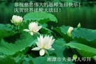 ֹ,ϴ󷨵ӹ編ִʦ𻪵(26)
