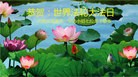 ֹ,󷨵ӹ編ִʦ𻪵(24)
