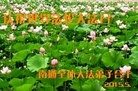 ֹ,մ󷨵ӹ編ִʦ𻪵(23)
