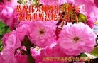 ֹ,󷨵ӹ編ִʦ𻪵(25)
